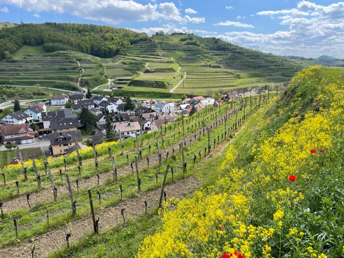 Weingut & Strausswirtschaft Vogel Διαμέρισμα Vogtsburg Εξωτερικό φωτογραφία