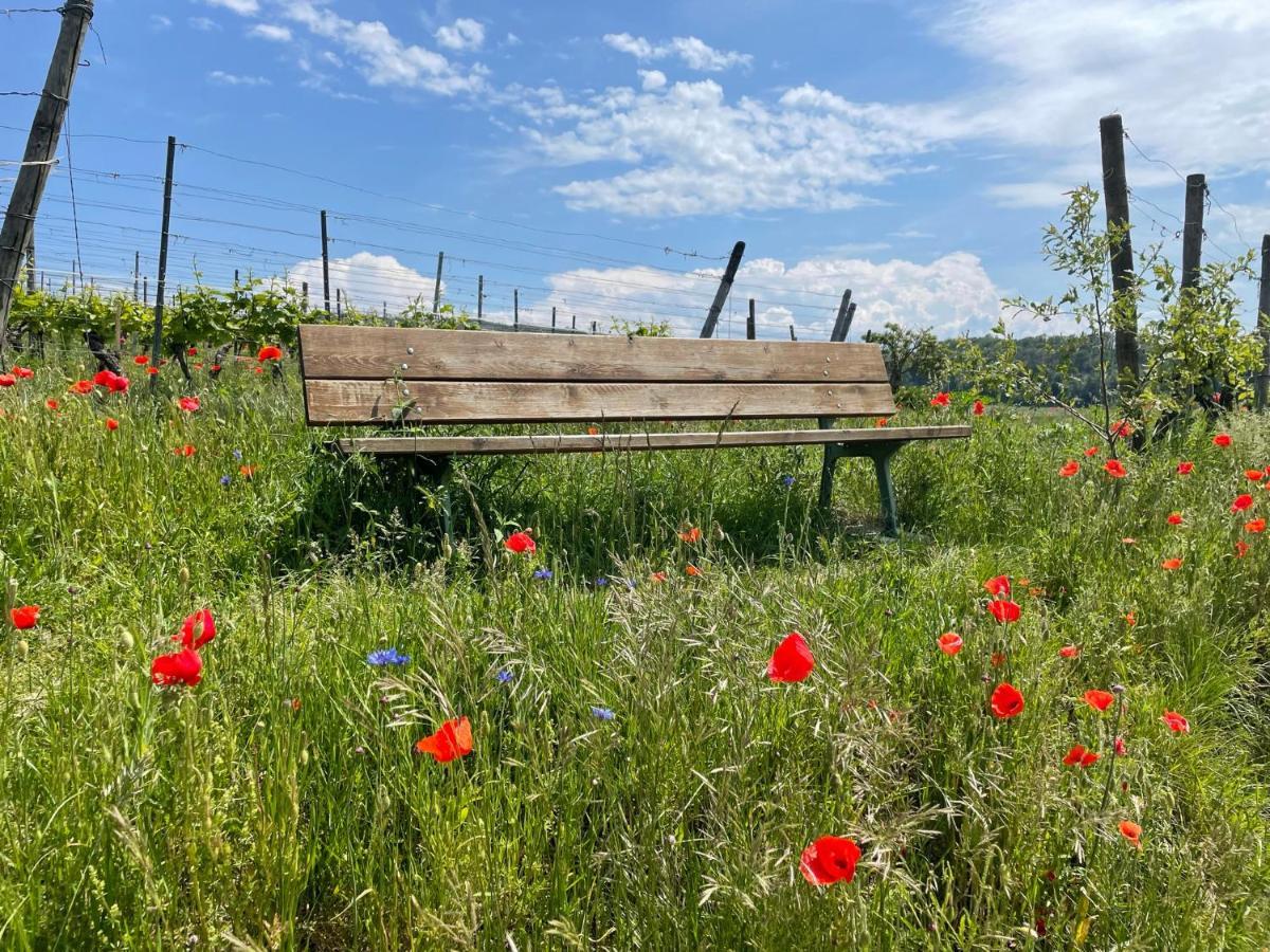 Weingut & Strausswirtschaft Vogel Διαμέρισμα Vogtsburg Εξωτερικό φωτογραφία