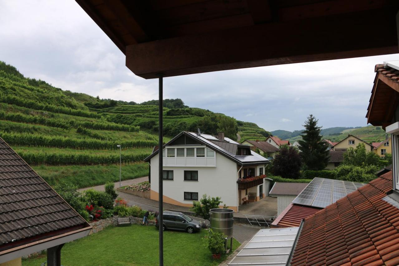 Weingut & Strausswirtschaft Vogel Διαμέρισμα Vogtsburg Εξωτερικό φωτογραφία