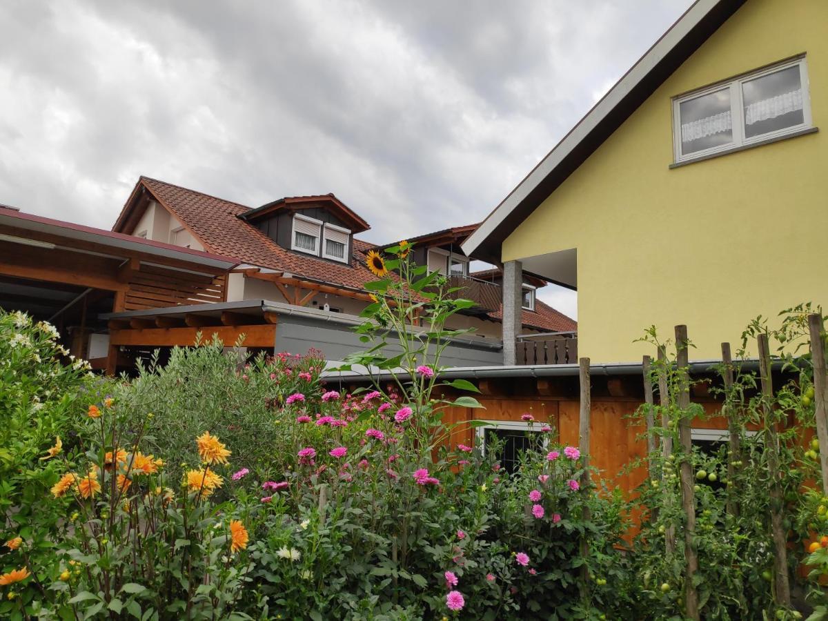 Weingut & Strausswirtschaft Vogel Διαμέρισμα Vogtsburg Εξωτερικό φωτογραφία