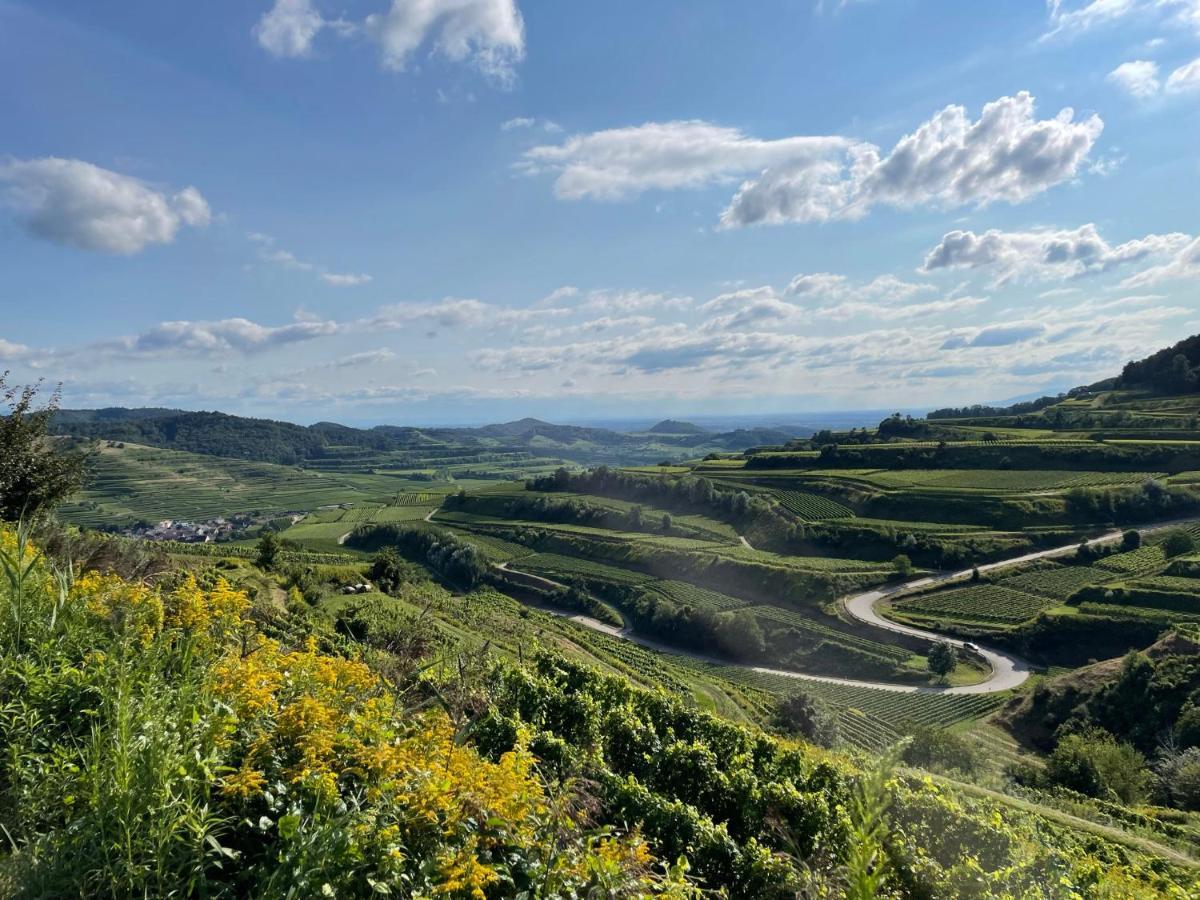 Weingut & Strausswirtschaft Vogel Διαμέρισμα Vogtsburg Εξωτερικό φωτογραφία