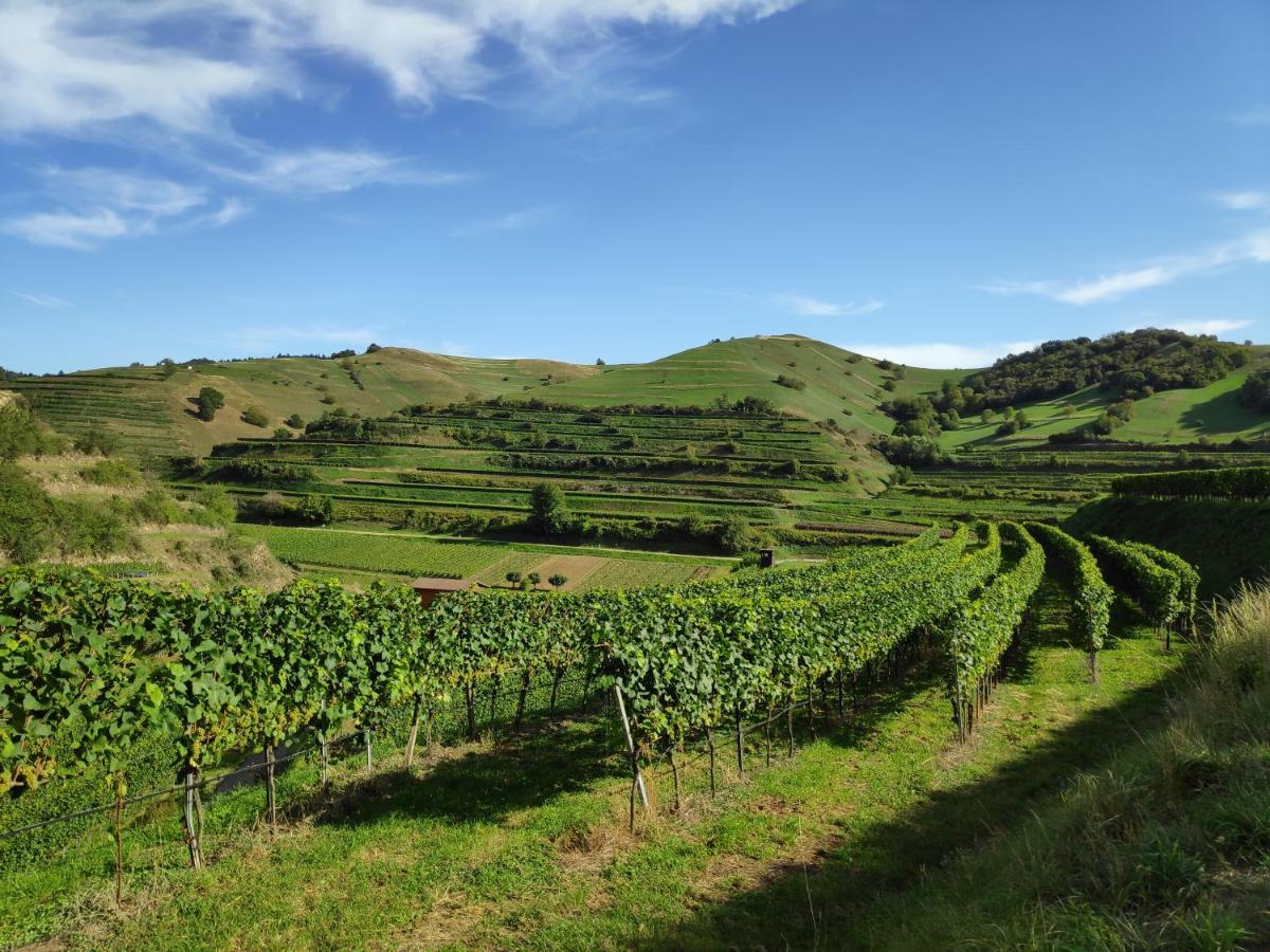 Weingut & Strausswirtschaft Vogel Διαμέρισμα Vogtsburg Εξωτερικό φωτογραφία