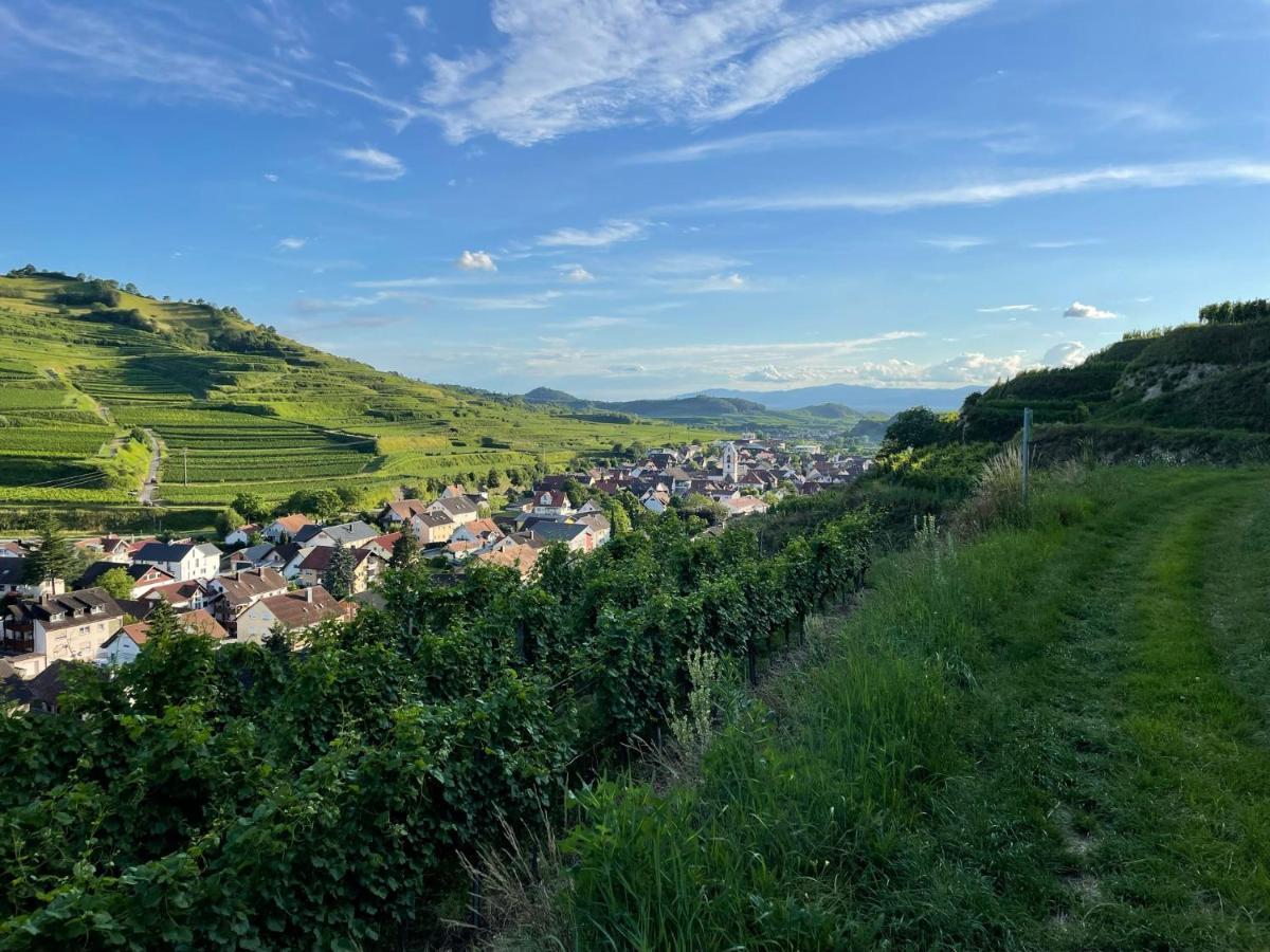 Weingut & Strausswirtschaft Vogel Διαμέρισμα Vogtsburg Εξωτερικό φωτογραφία