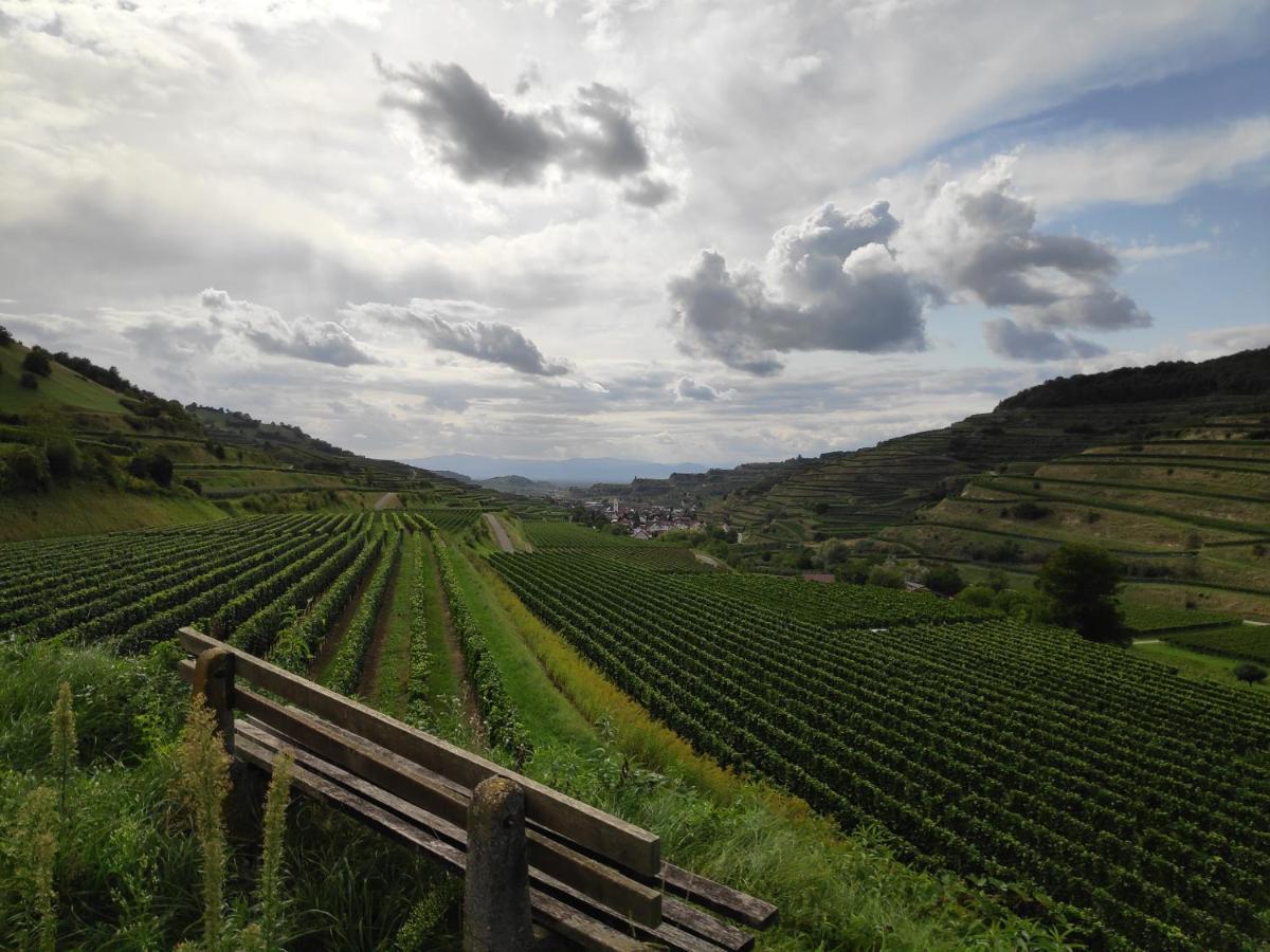 Weingut & Strausswirtschaft Vogel Διαμέρισμα Vogtsburg Εξωτερικό φωτογραφία