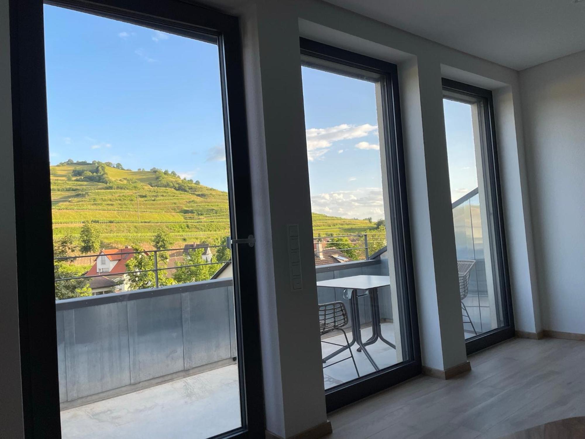 Weingut & Strausswirtschaft Vogel Διαμέρισμα Vogtsburg Εξωτερικό φωτογραφία