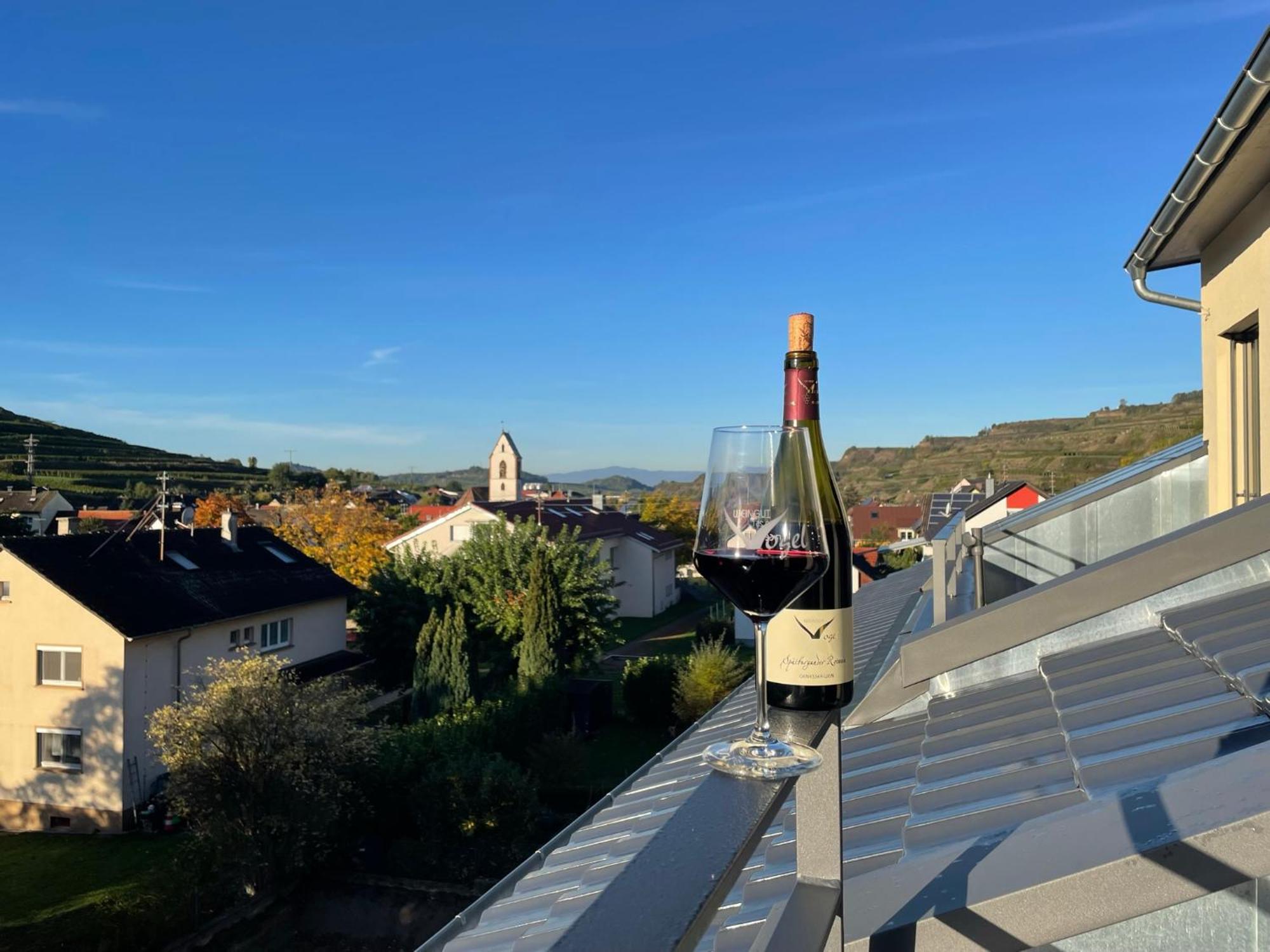 Weingut & Strausswirtschaft Vogel Διαμέρισμα Vogtsburg Εξωτερικό φωτογραφία